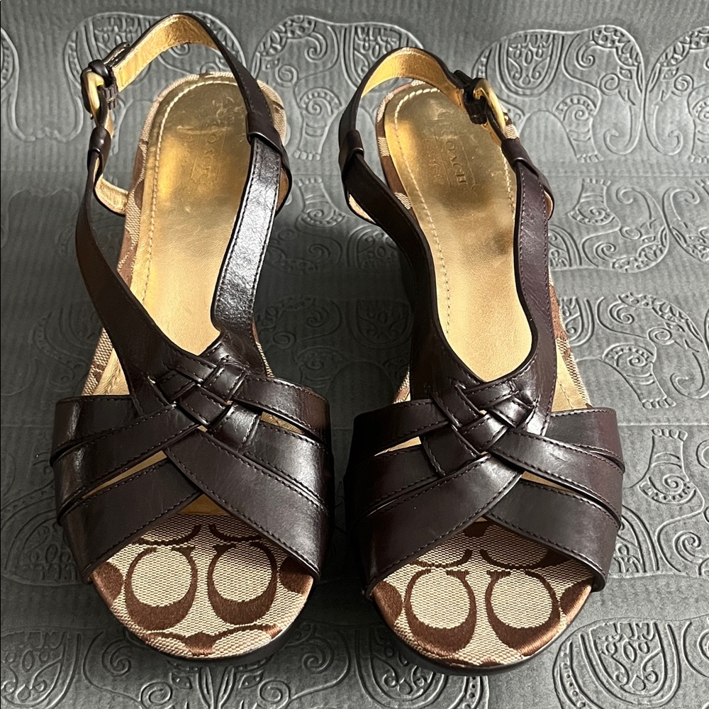 Coach Dark Brown Leather Women's Sandals